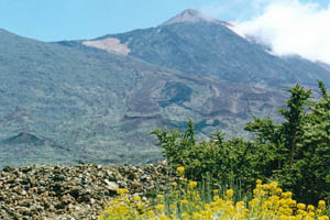 Высота вулкана Tiede - 3800 метров