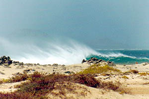 Волна в местечке Риф